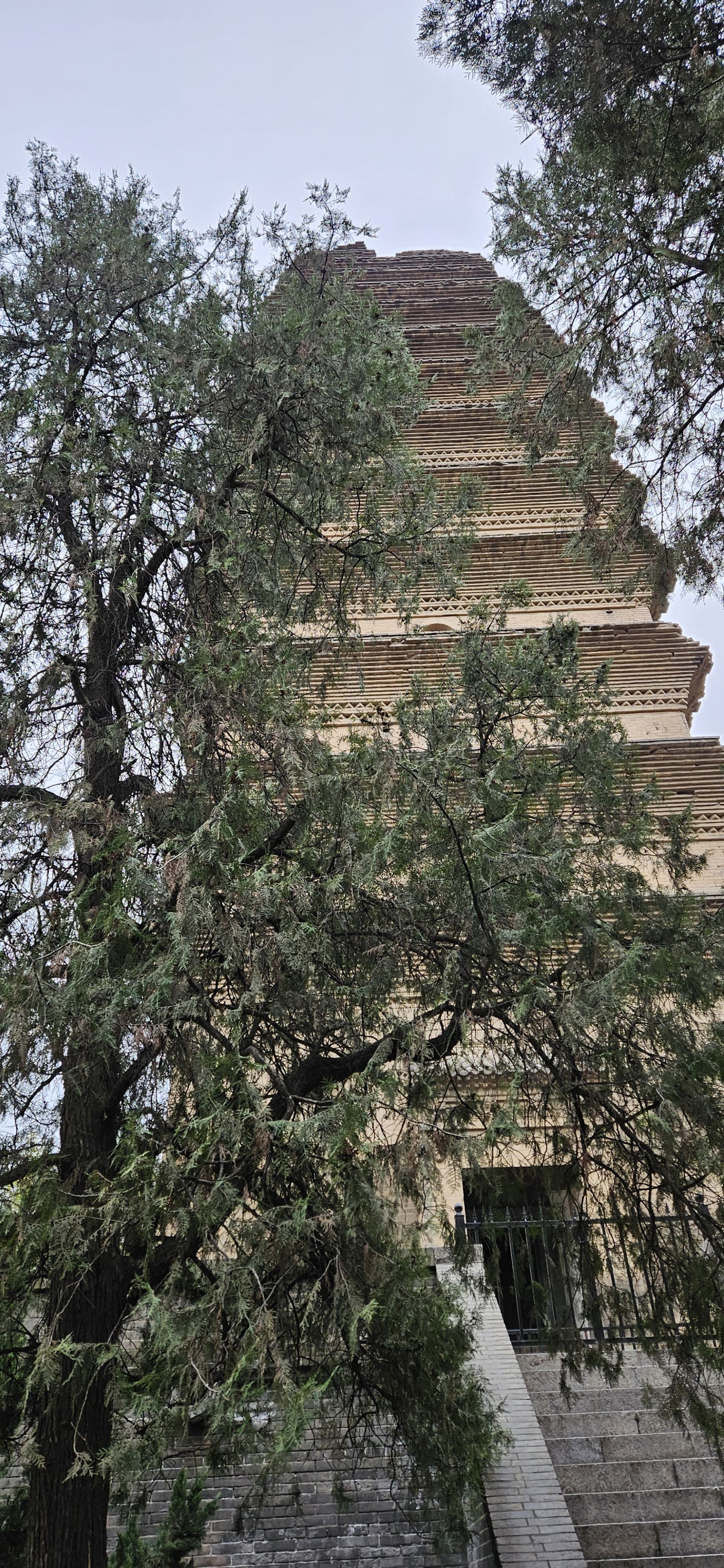 2023西安游