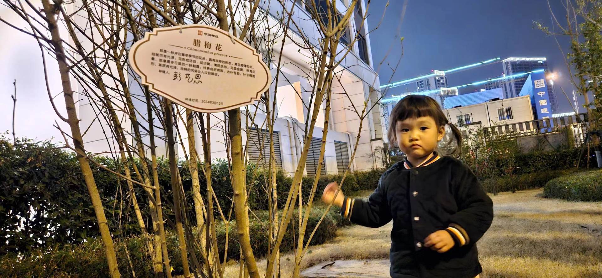 2024年正值春季