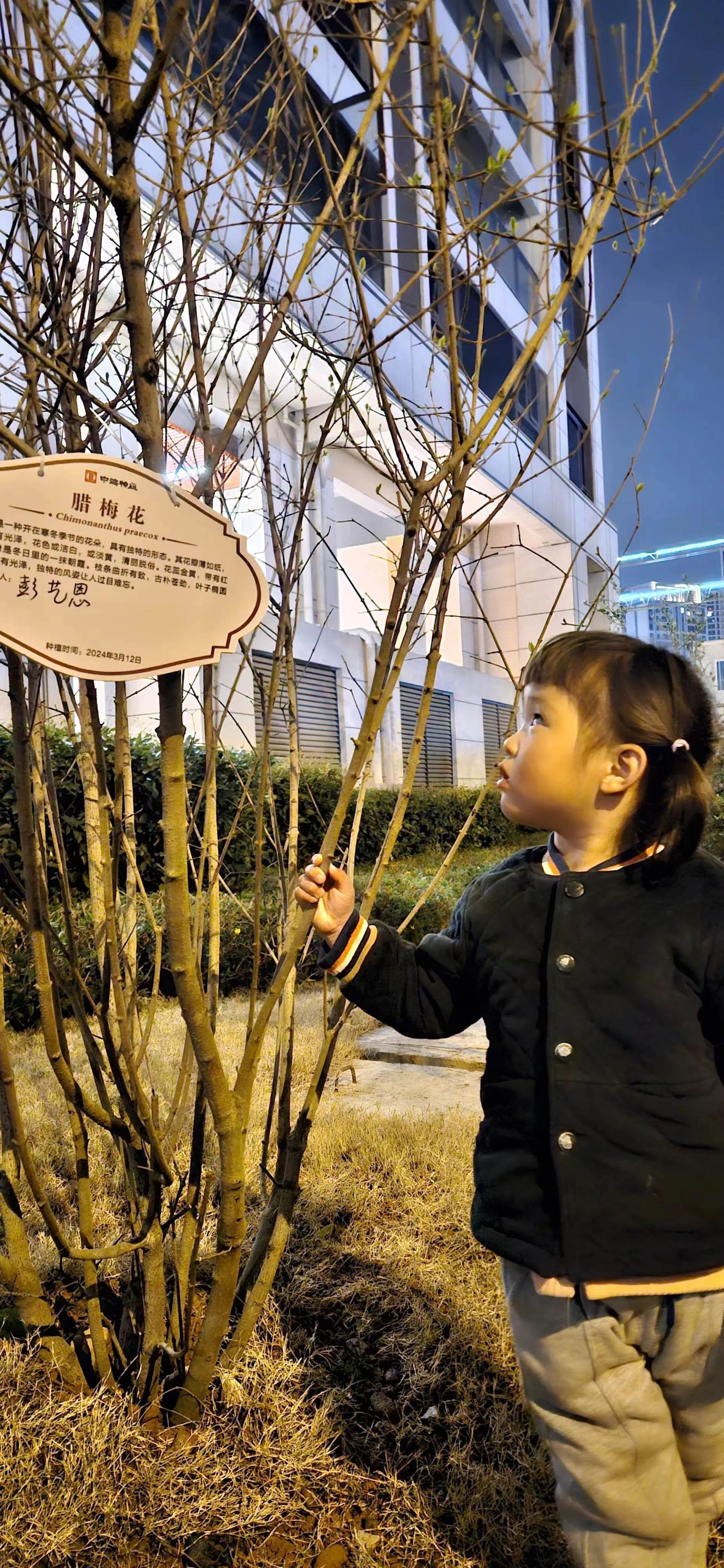 2024年正值春季