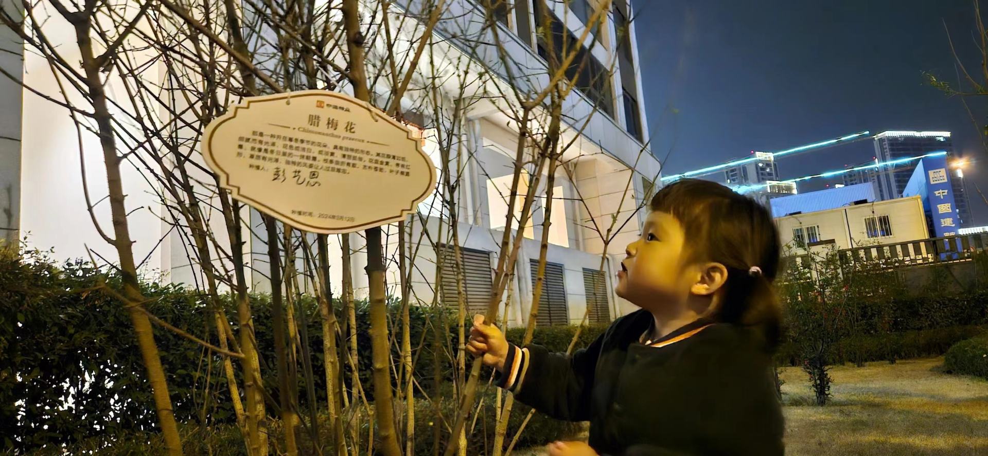 2024年正值春季