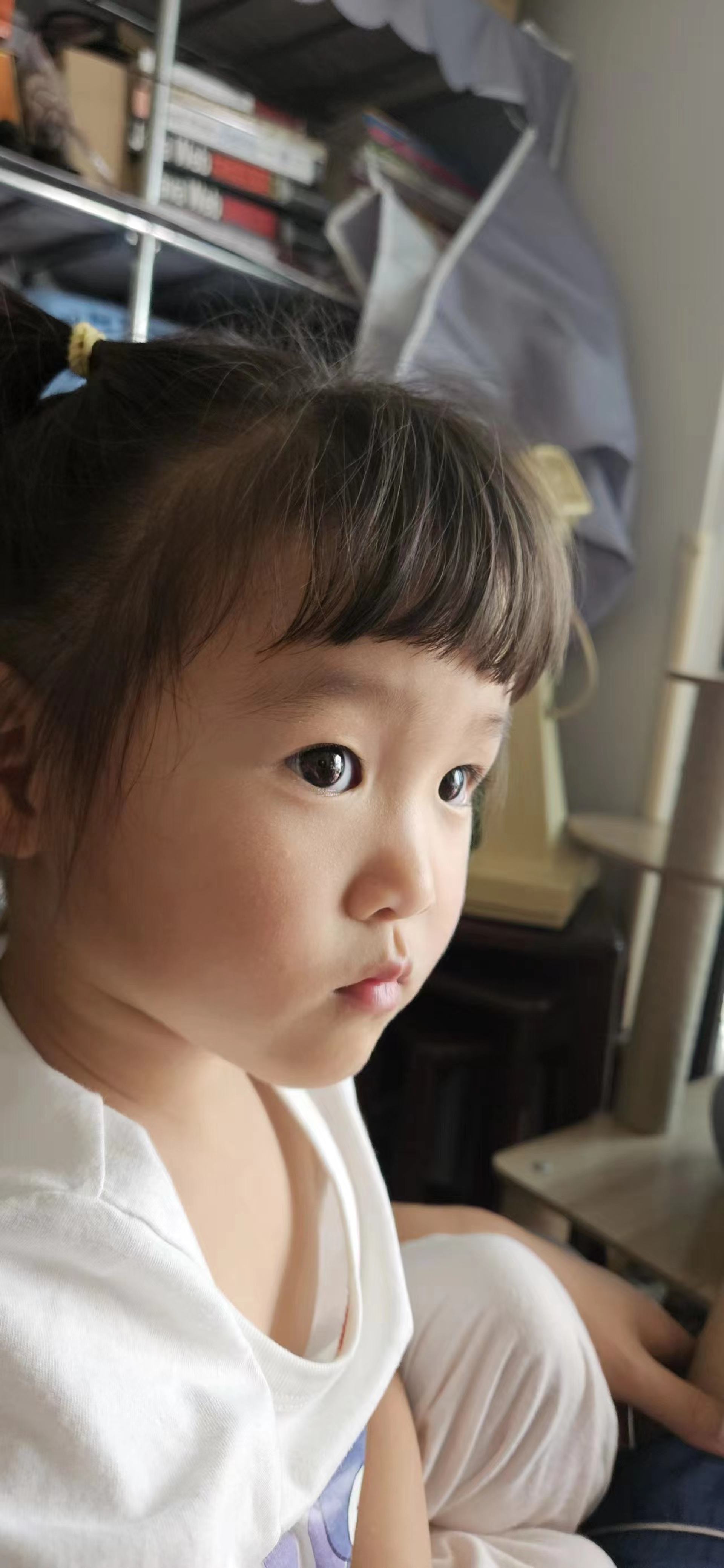 2024年正值夏季