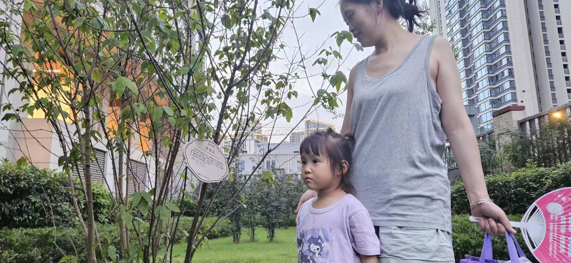 2024年正值夏季